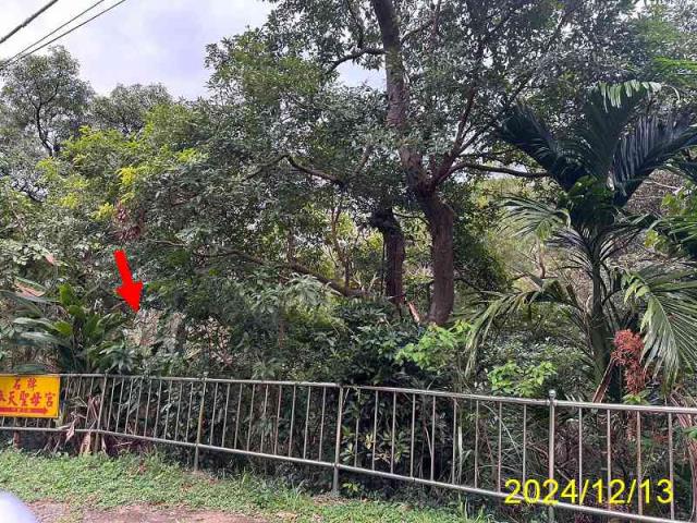 士林公寓法拍-6