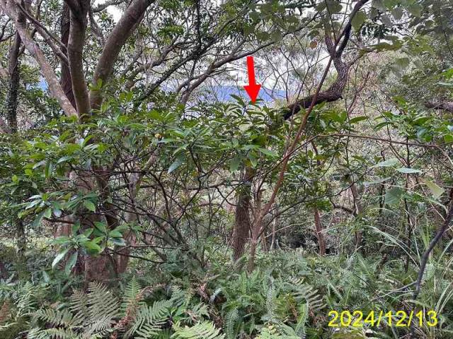 士林公寓法拍-7