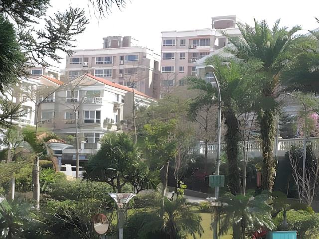 新店法拍大樓-0